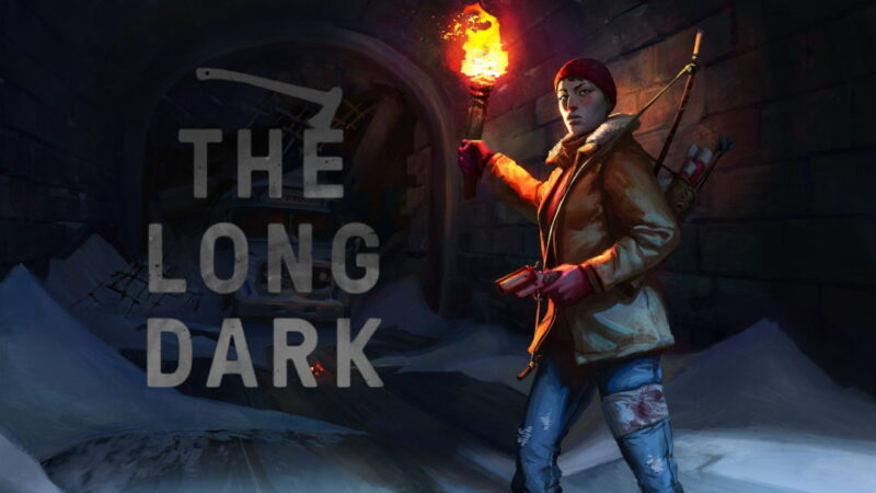 The Long Dark oyun incelemesi