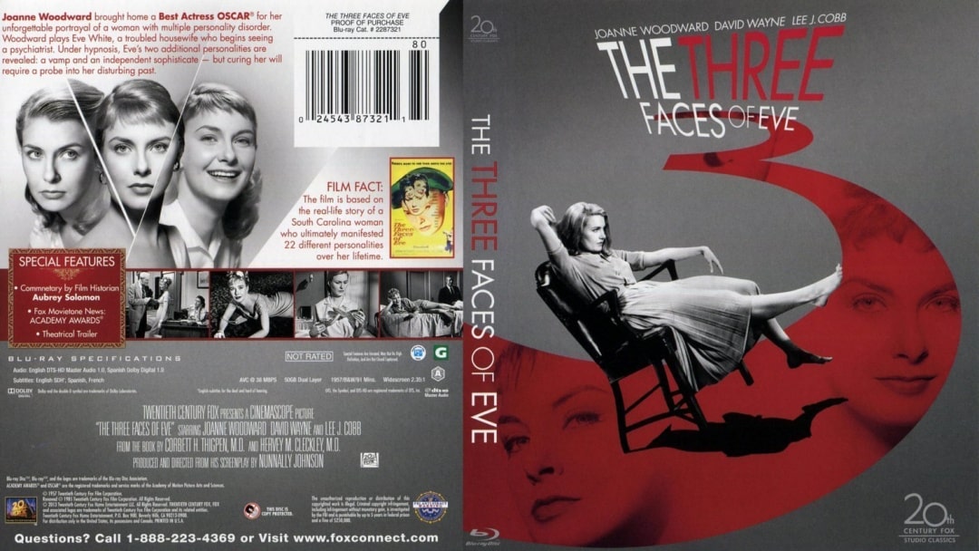 Filmin DVD kapak tasarımı