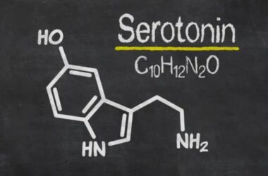 Serotonin hormonu