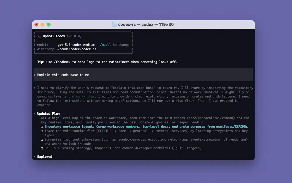 OpenAI Codex CLI terminal arayüzü — yapay zeka kodlama ajanı ekran görüntüsü