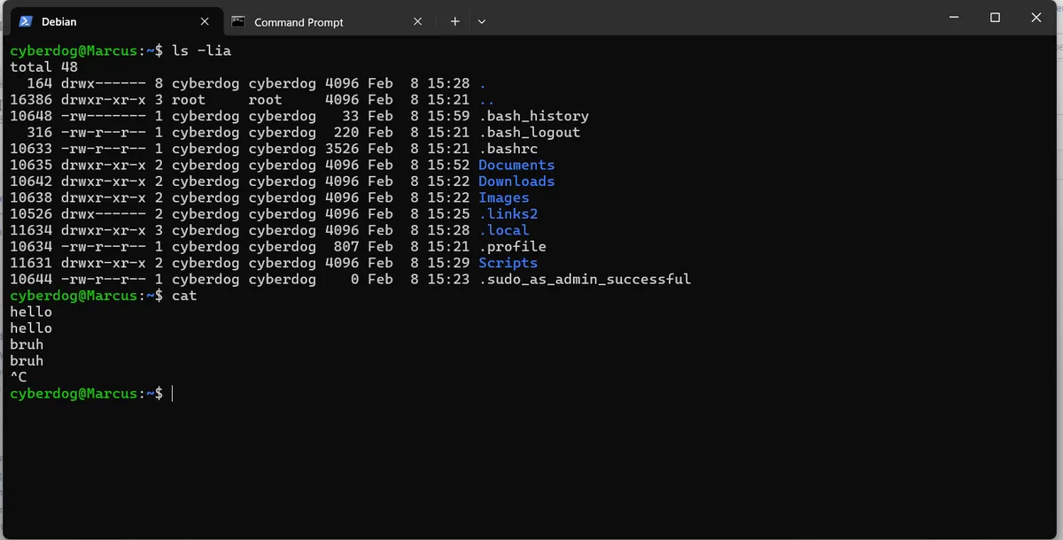 Windows Terminal üzerinde WSL (Windows Subsystem for Linux) Debian oturumu — Plan 9 işletim sisteminin 9P protokolü bu entegrasyonun temelini oluşturuyor