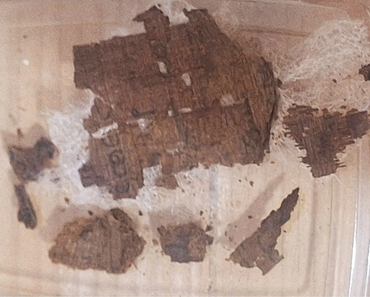 Oxyrhynchus'ta bir Roma dönemi mumyasının karnına yerleştirilmiş, Homeros İlyada'sının Gemiler Kataloğu bölümünü içeren yaklaşık 1600 yıllık papirüs parçalarının yakın çekimi.