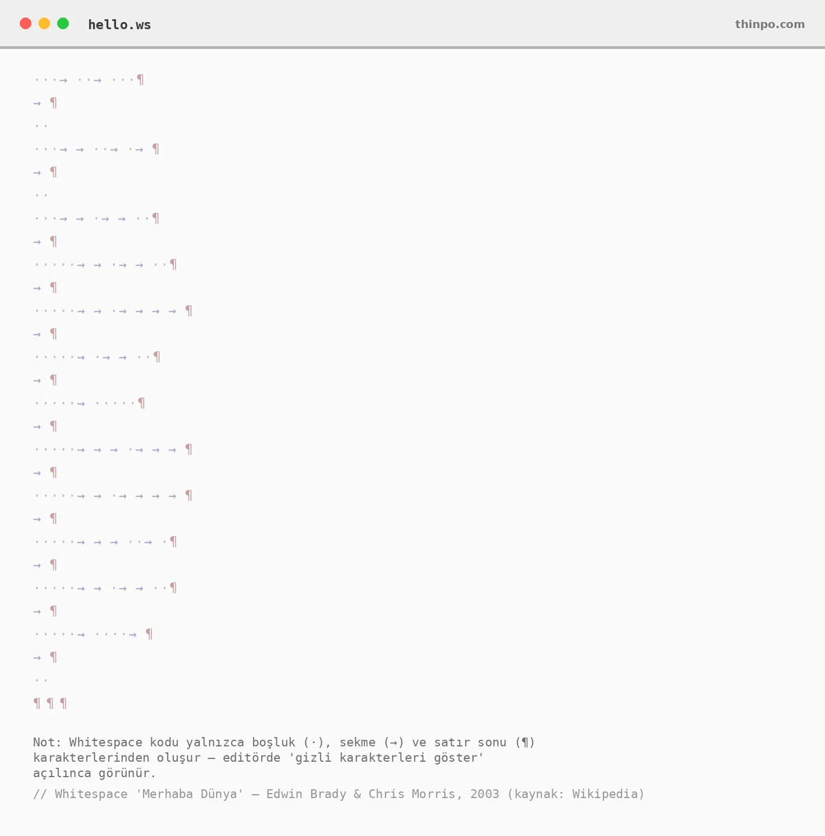 Whitespace programlama dilinin görünmez kodunu boşluk, sekme ve satır sonu sembolleriyle gösteren, neredeyse boş bir kod editörü ekranı