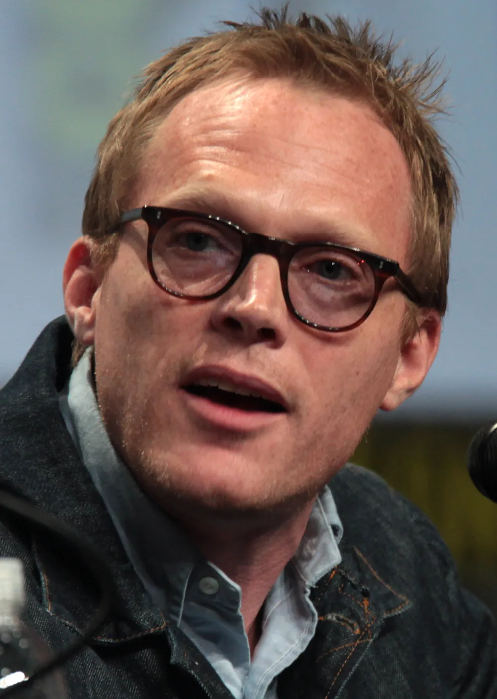 J.A.R.V.I.S.'in sesini canlandıran oyuncu Paul Bettany bir Comic-Con panelinde