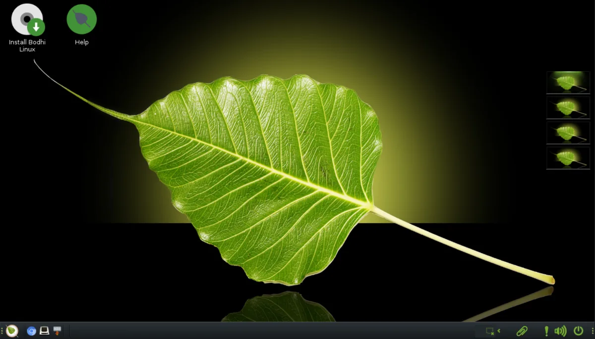 Bodhi Linux 7.0 Moksha masaüstü ekran görüntüsü: sade yaprak duvar kağıdı ve minimal simgeler