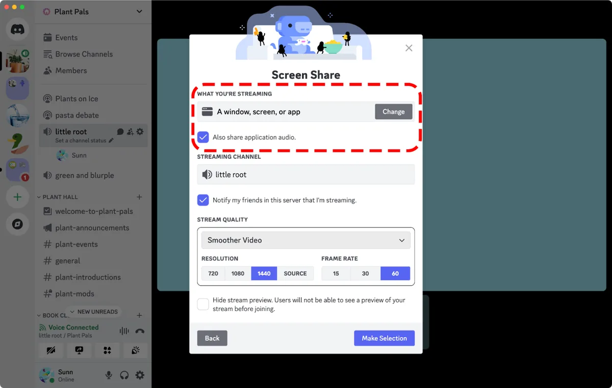 Discord ekran paylaşımı penceresinde çözünürlük ve saniyedeki kare sayısı ayarları