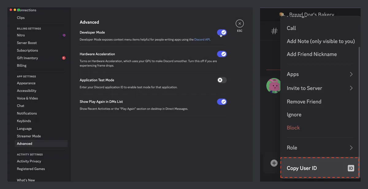 Discord Gelişmiş ayarlarında Geliştirici Modu açma anahtarı ve sağ tık Kimliği Kopyala seçeneği