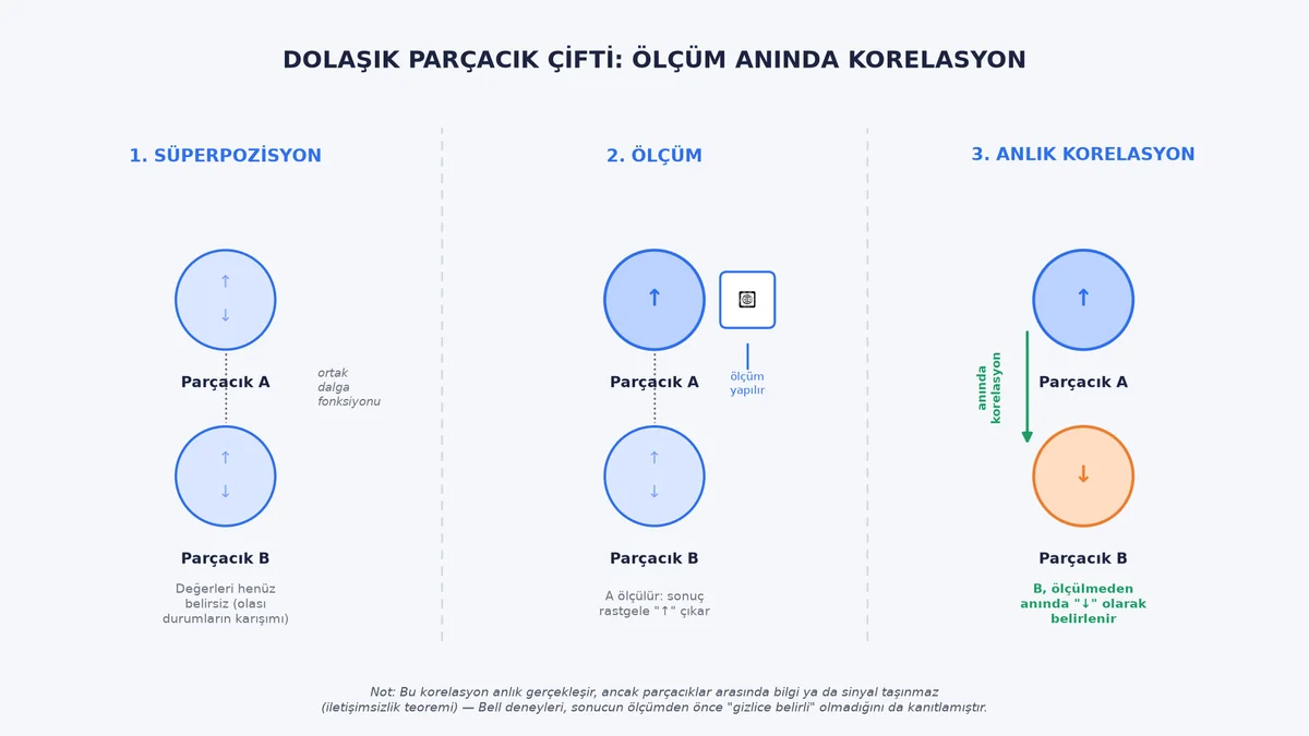 Dolaşık parçacık çifti infografiği: süperpozisyon, ölçüm ve anlık korelasyon aşamalarını Türkçe etiketlerle gösteren bilimsel şema