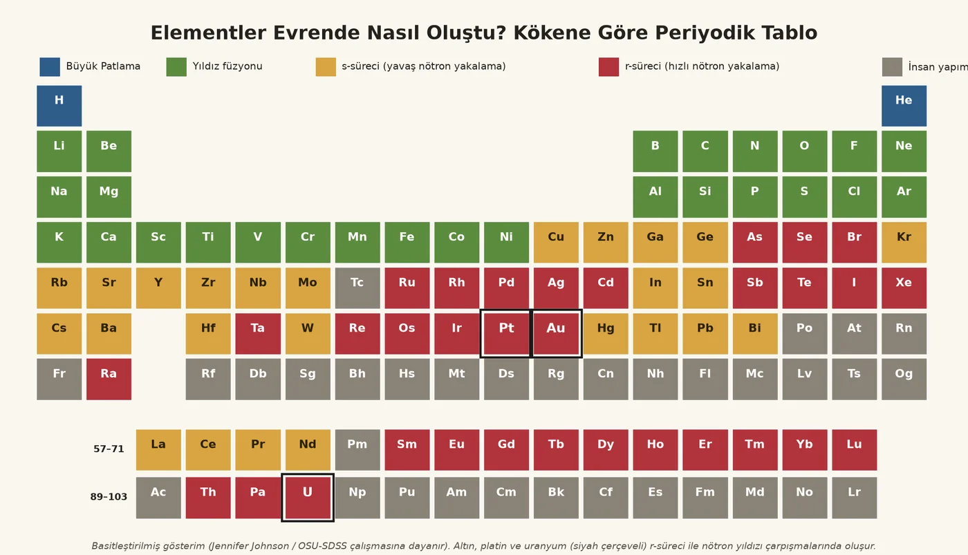 Elementlerin evrende hangi süreçle oluştuğunu gösteren renkli periyodik tablo infografiği; altın, platin ve uranyum r-süreci ile işaretli