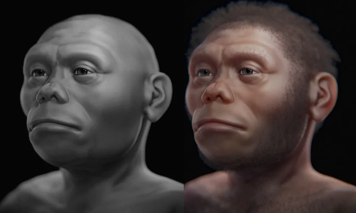Homo floresiensis yani Flores hobbitlerinin bilimsel yüz rekonstrüksiyonu (paleoart)