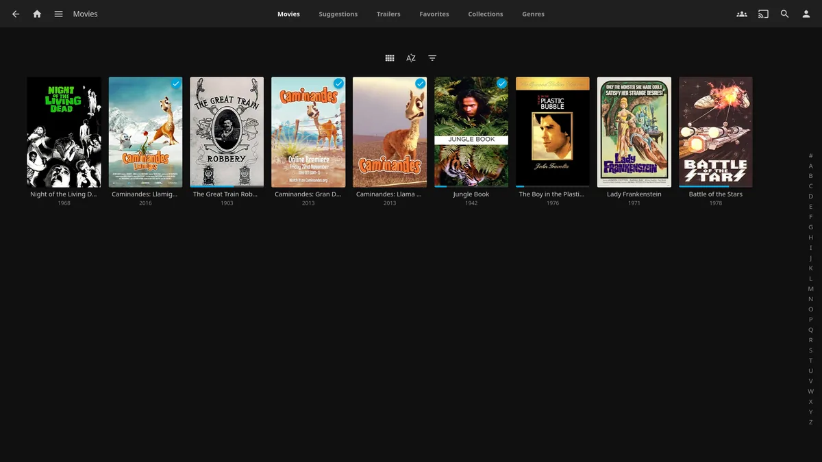 Jellyfin web arayüzünde film afişleriyle dolu kişisel medya kütüphanesi görünümü