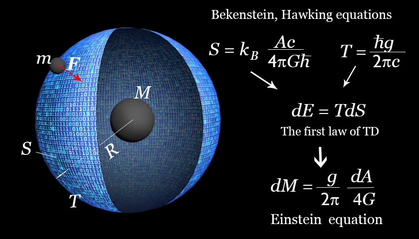 Bilgi kodlanmış küresel yüzeyiyle bir kara deliği ve Bekenstein-Hawking entropi denklemlerini gösteren holografik ilke diyagramı