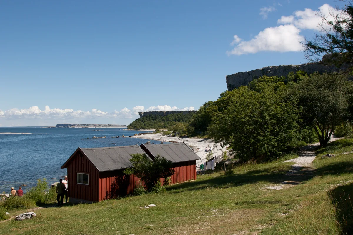 İsveç Stora Karlsö adasının kireçtaşı falezleri ve Baltık Denizi kıyısı