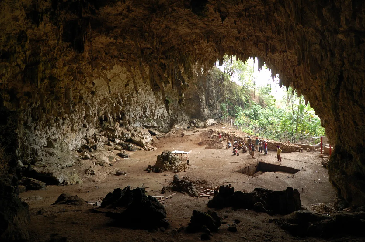 Liang Bua mağarasında arkeolojik kazı alanı, Flores hobbitlerinin keşfedildiği yer