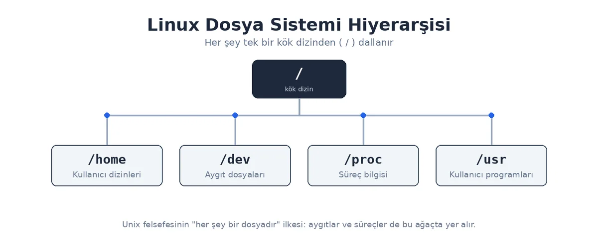 Linux dosya sistemi hiyerarşisi infografiği: kök dizininden (/) dallanan /home, /dev, /proc ve /usr klasörleri