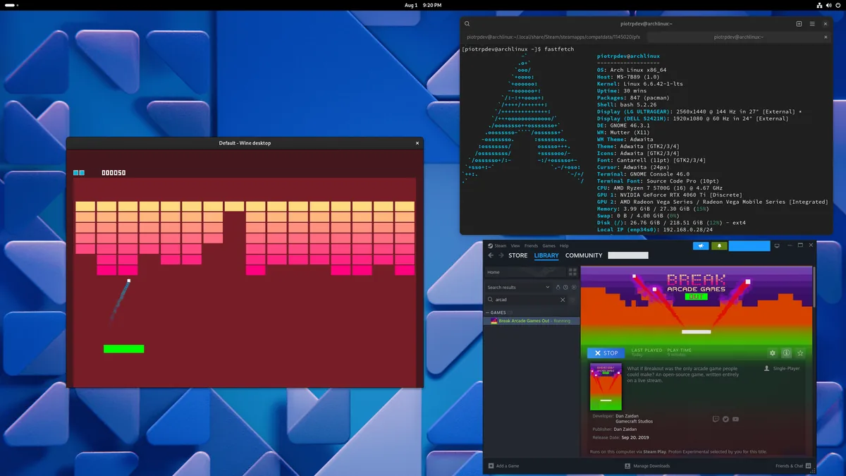 Arch Linux üzerinde Steam kütüphanesinde Proton uyumluluk katmanıyla çalışan bir oyun