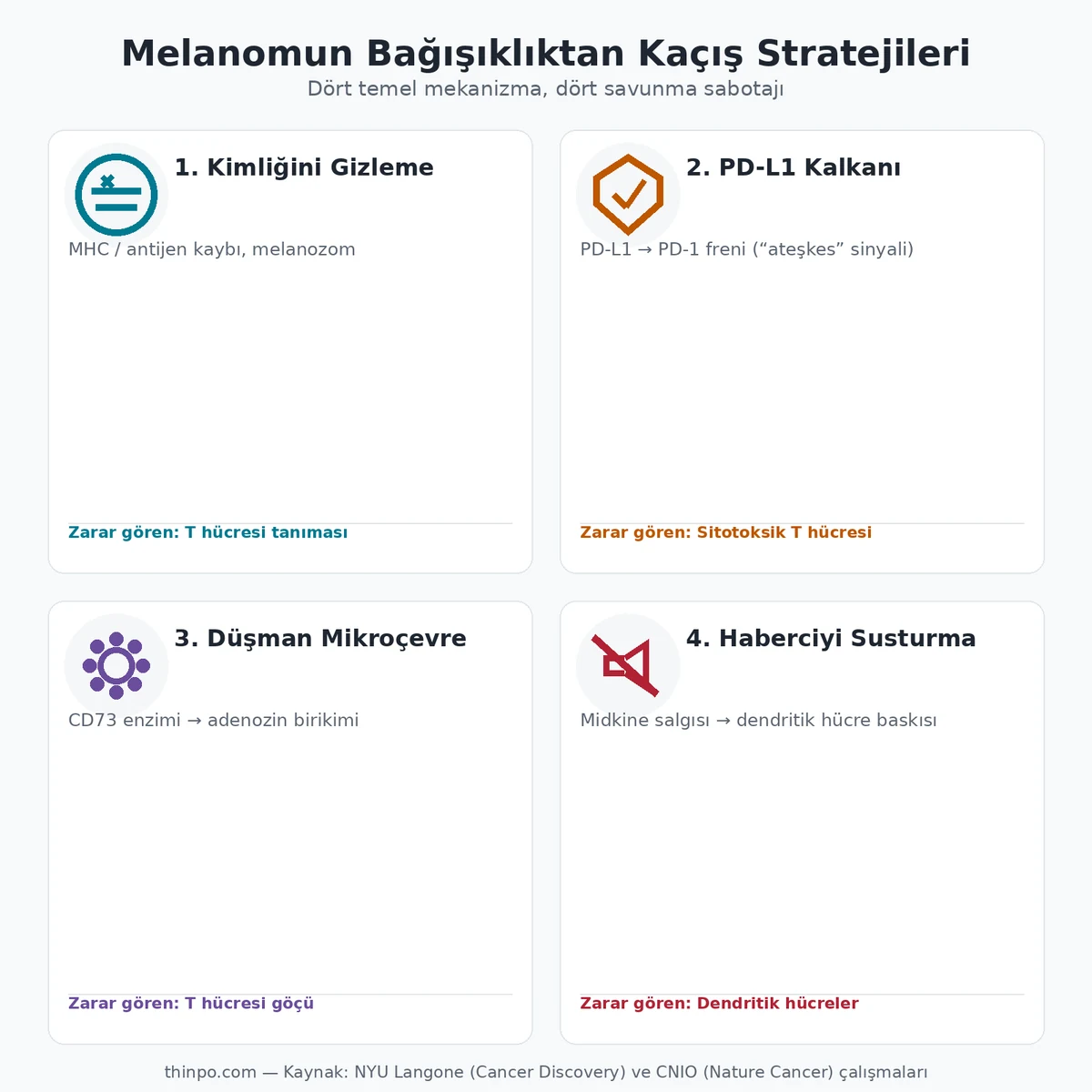 Melanomun bağışıklık sisteminden kaçış için kullandığı dört stratejiyi özetleyen infografik: kimliğini gizleme, PD-L1 kalkanı, düşman mikroçevre, haberciyi susturma