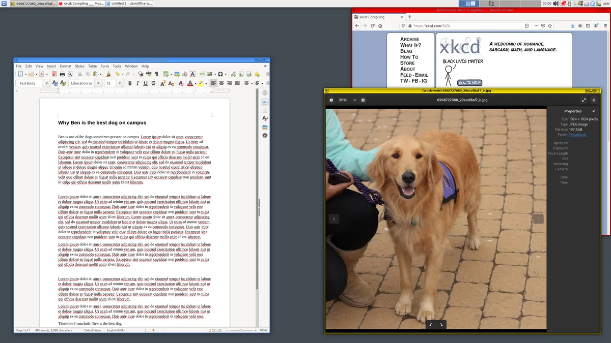 Qubes OS masaüstünde farklı güven düzeylerini gösteren renkli pencere kenarlıkları: kırmızı kenarlıklı güvenilmeyen tarayıcı penceresi, sarı kenarlıklı work-web görüntüleyici ve koyu kenarlıklı work qube penceresi