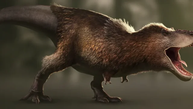 T. rex Nasıl Avlanırdı? Fosildeki Isırık Kanıtı
