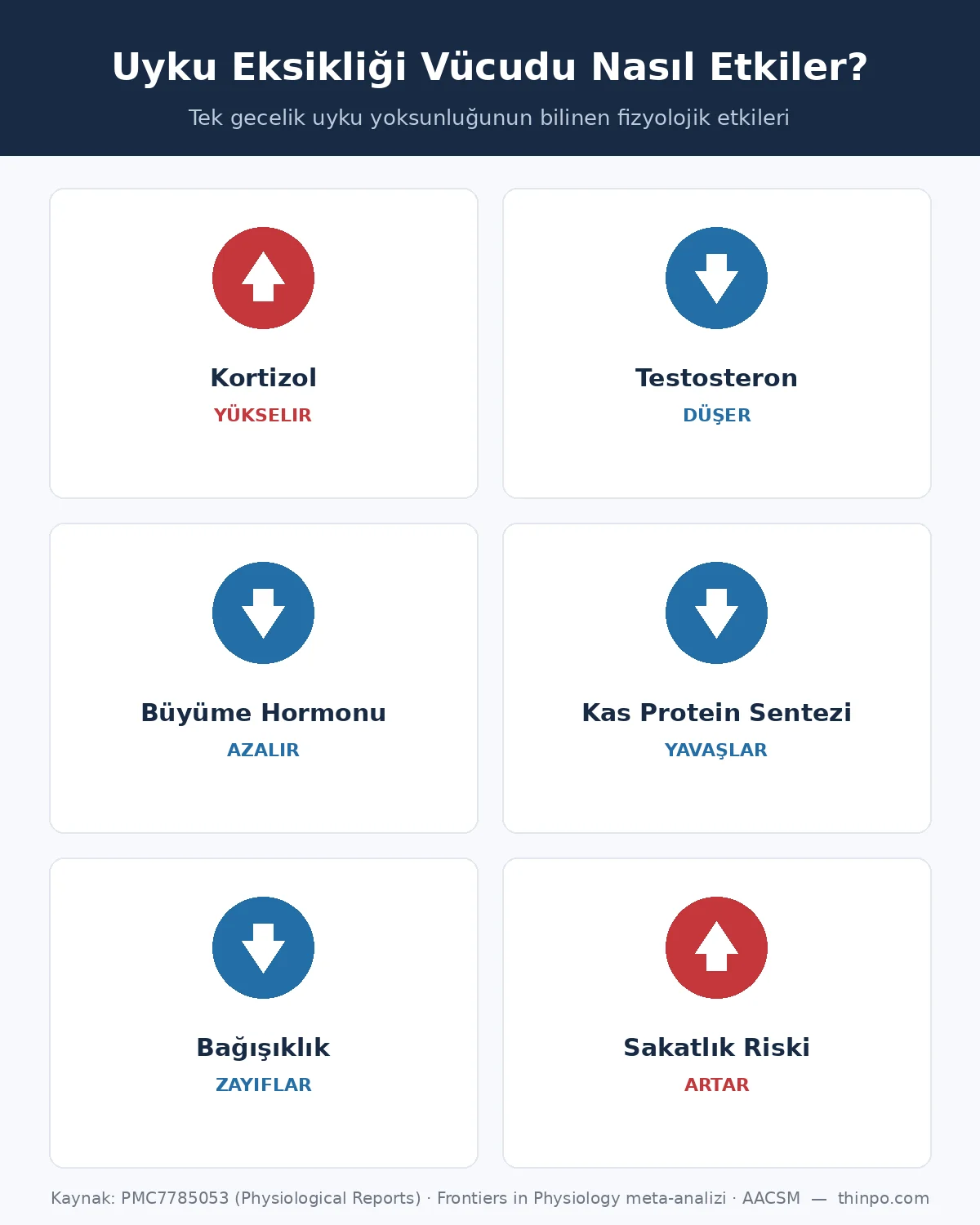 Uyku eksikliğinin vücuda etkilerini gösteren infografik: kortizol yükselir, testosteron ve büyüme hormonu düşer, kas protein sentezi yavaşlar, bağışıklık zayıflar, sakatlık riski artar