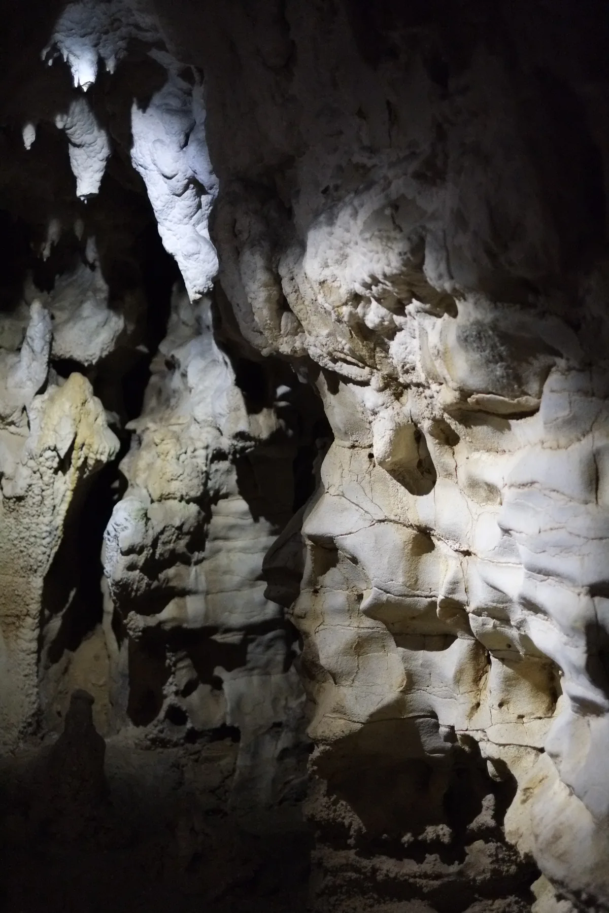 Waitomo Glowworm mağarasının içindeki kireçtaşı oluşumları ve dokusu, milyon yıllık fosil kaydının korunduğu kapalı mağara ortamını gösteriyor