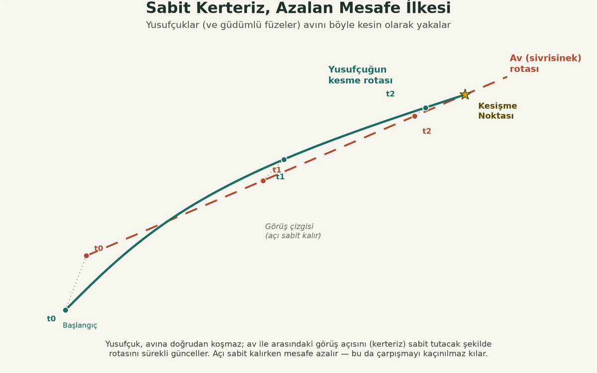 Yusufçuğun avını sabit kerteriz ilkesiyle nasıl kestiğini gösteren Türkçe etiketli infografik diyagram