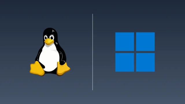 Linux Windows Dual Boot: Dikkat Edilmesi Gerekenler